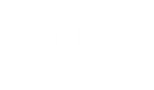 silis plant - saksı ve bitki