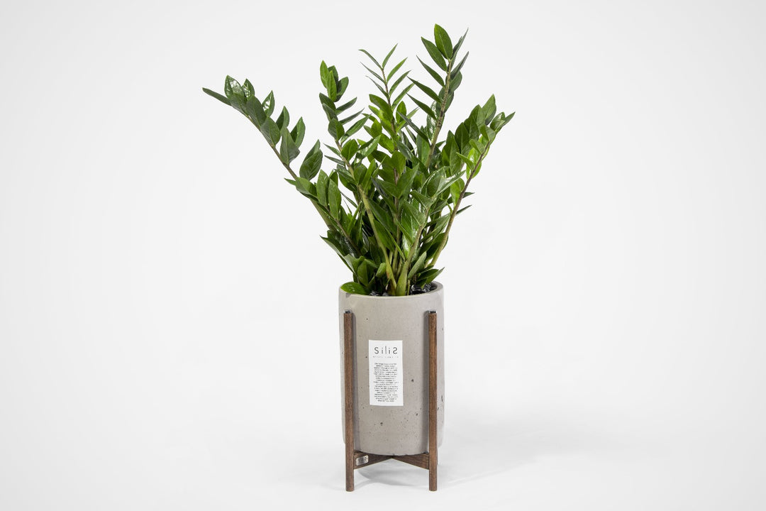 Modern-Beton-Ayakli-Saksi-
